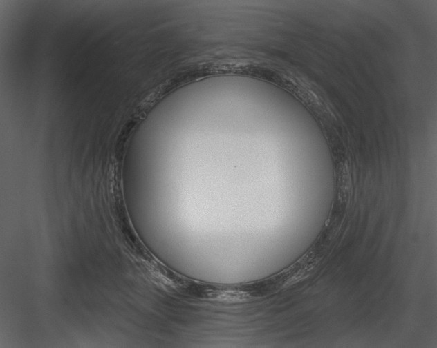 X0000084540463200702230913