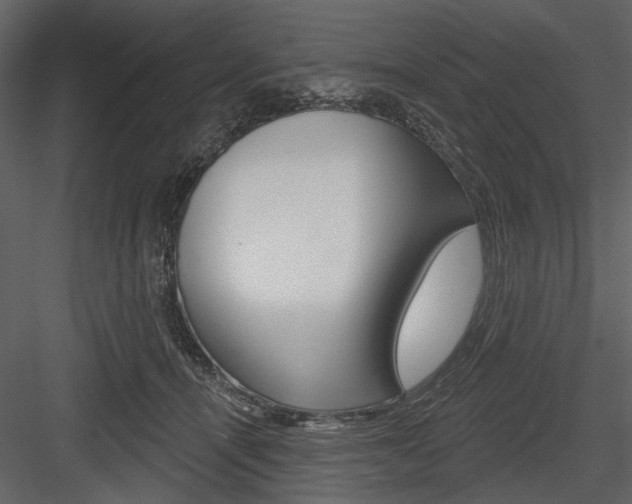 X0000084540464200702230913