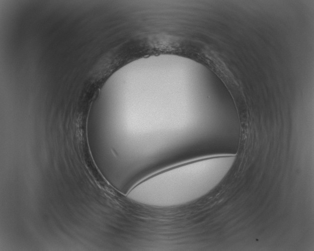 X0000084540466200702230913