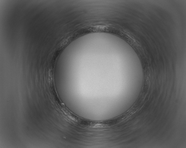 X0000084540467200702230913