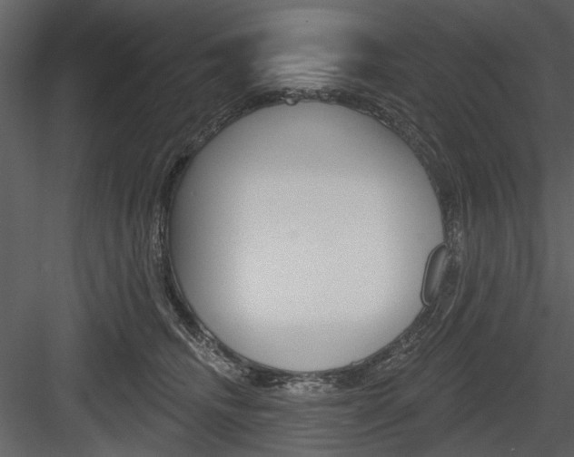 X0000084540468200702230913