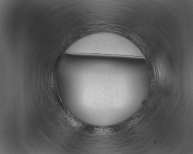 X0000084540469200702230913