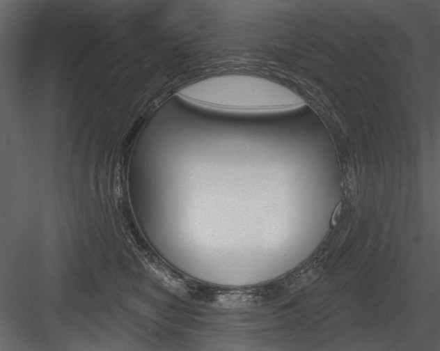 X0000084540470200702230913