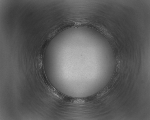 X0000084540471200702230913