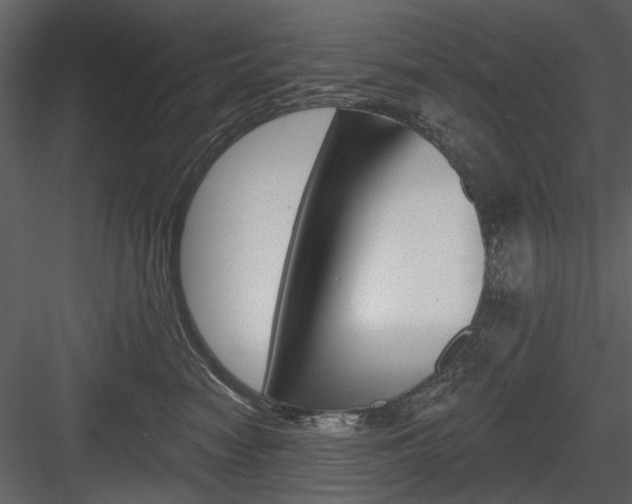 X0000084540474200702230913