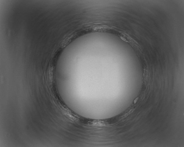 X0000084540475200702230913
