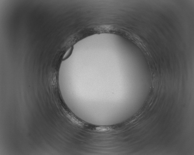 X0000084540477200702230913
