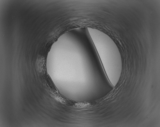 X0000084540480200702230913