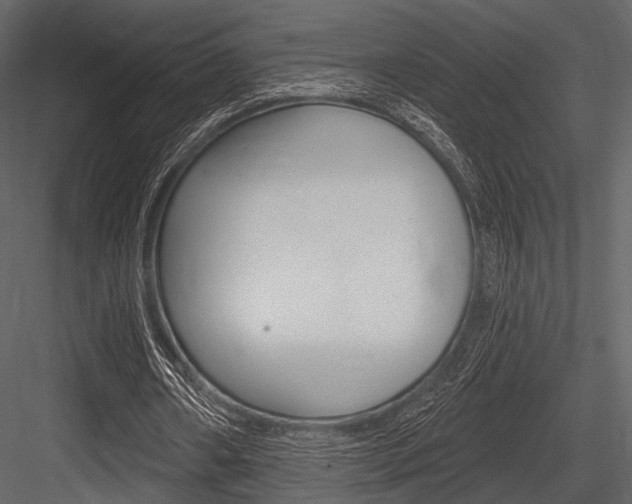X0000084540482200702230912