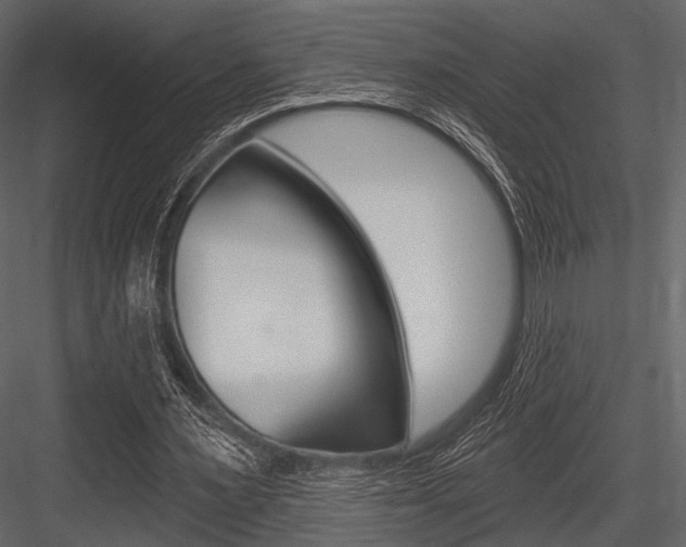 X0000084540483200702230912