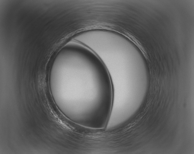 X0000084540485200702230912