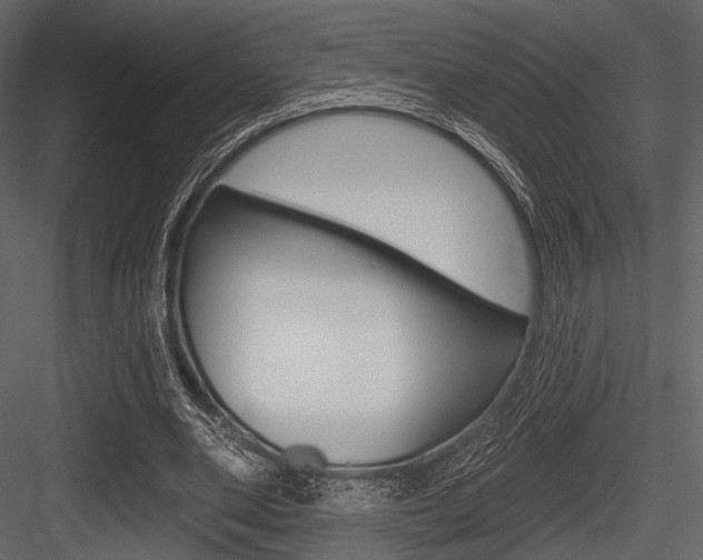 X0000084540486200702230912