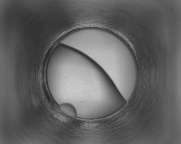 X0000084540487200702230912