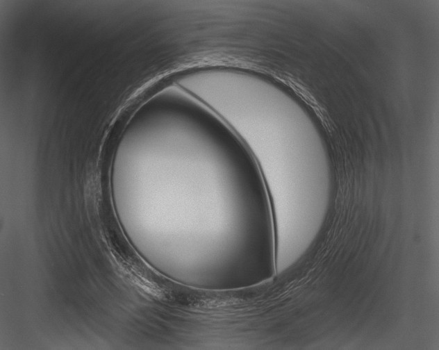 X0000084540488200702230912