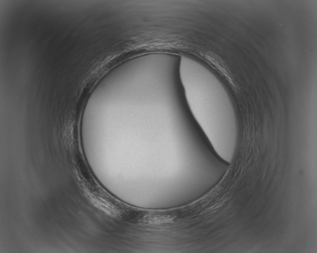 X0000084540491200702230912