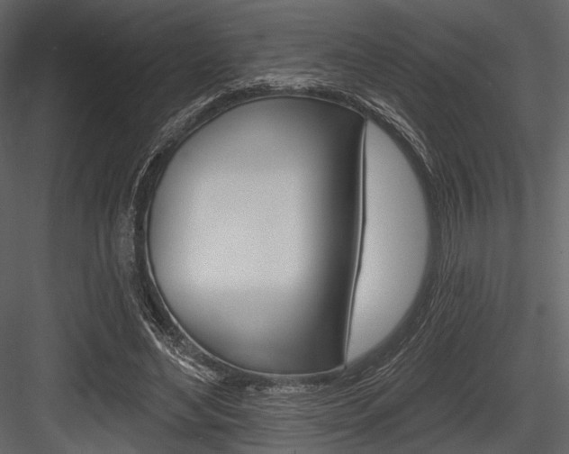 X0000084540492200702230912