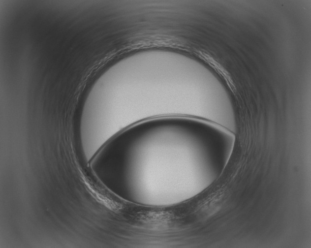 X0000084540493200702230912