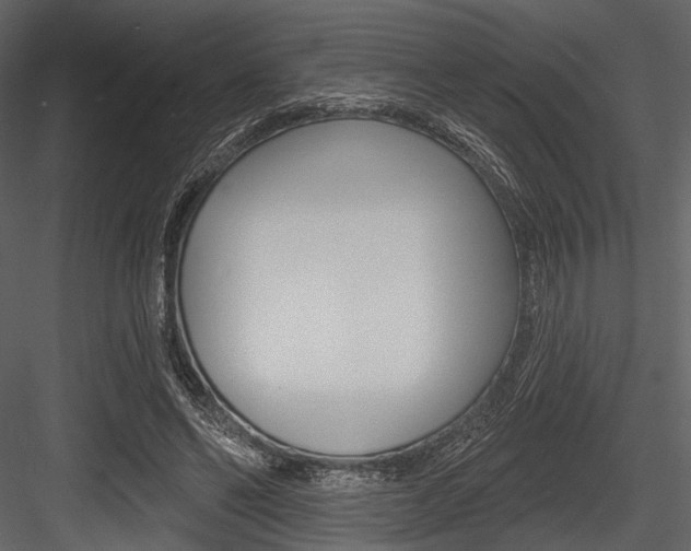 X0000084540494200702230912