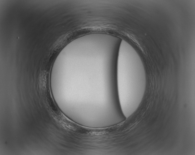 X0000084540495200702230912