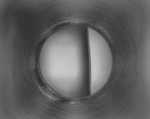 X0000084540496200702230912