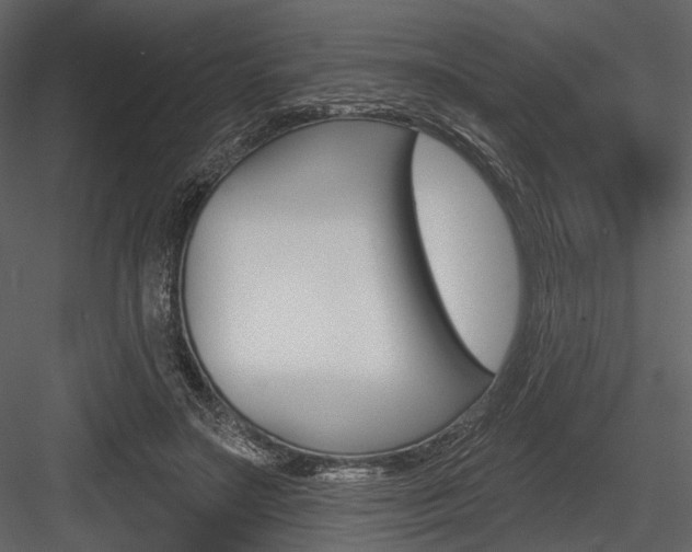 X0000084540499200702230912