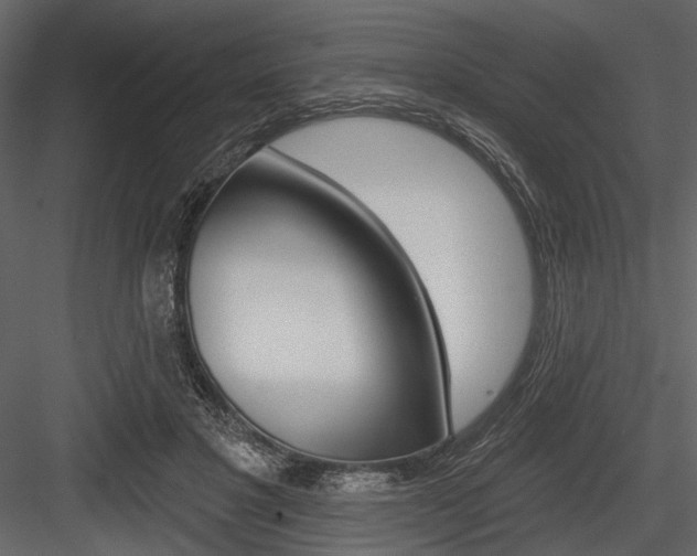 X0000084540501200702230912