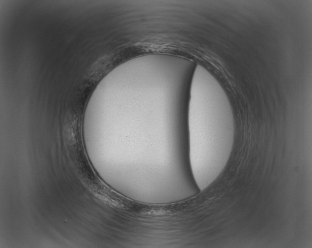 X0000084540503200702230912