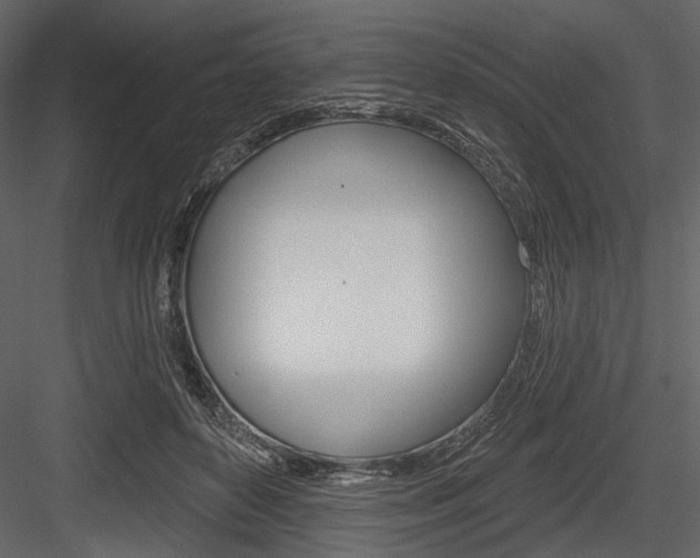 X0000084540504200702230912