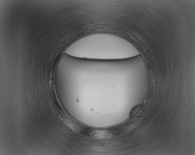 X0000084540507200702230912