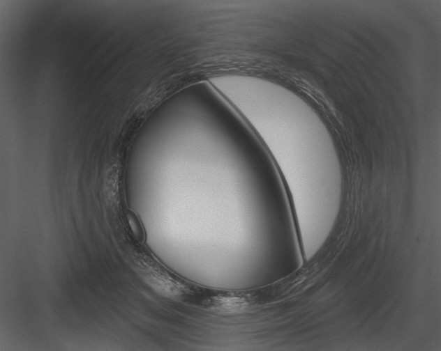X0000084540509200702230912