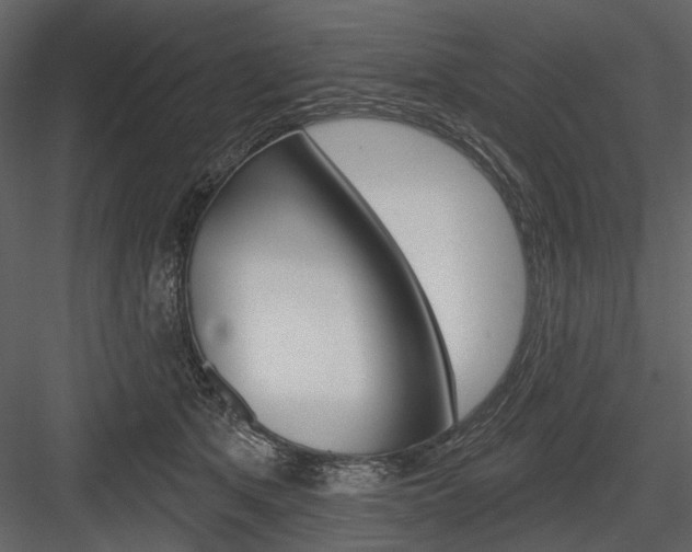 X0000084540513200702230912