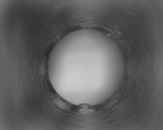 X0000084540515200702230912