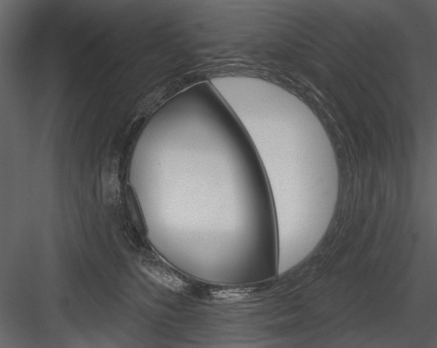 X0000084540516200702230912