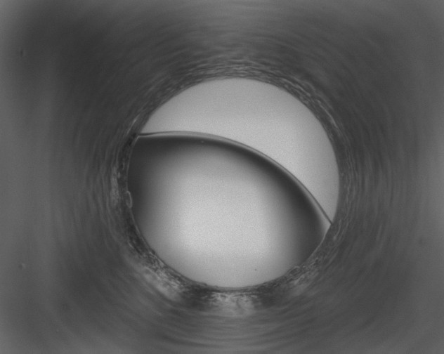 X0000084540520200702230912