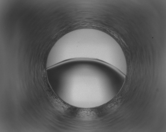 X0000084540521200702230912