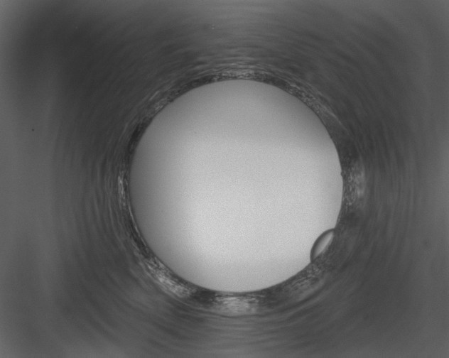 X0000084540522200702230912