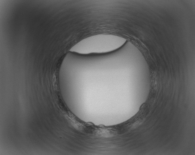 X0000084540523200702230912
