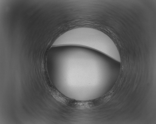 X0000084540524200702230912