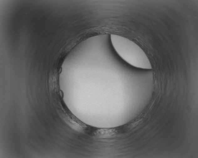 X0000084540526200702230912