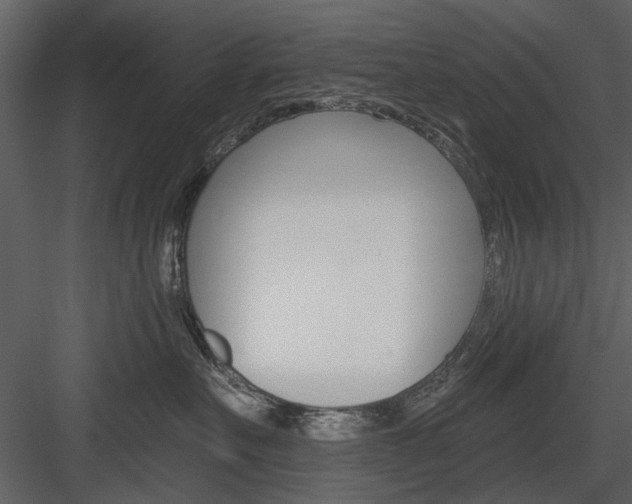 X0000084540527200702230912