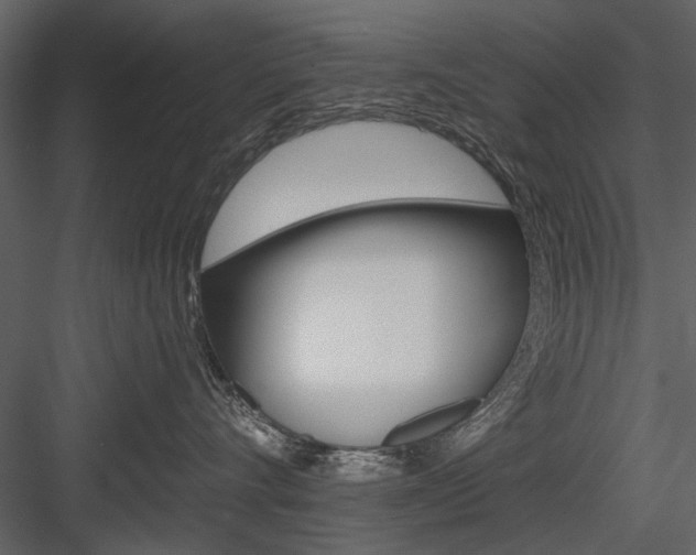 X0000084540528200702230912