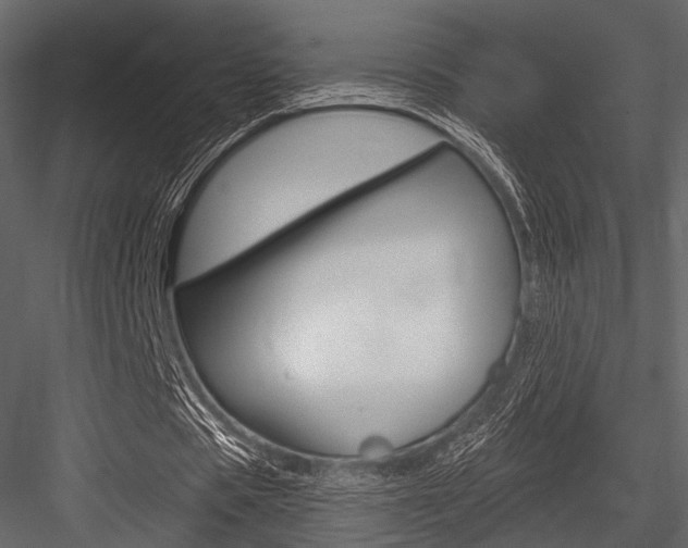 X0000084540529200702230911