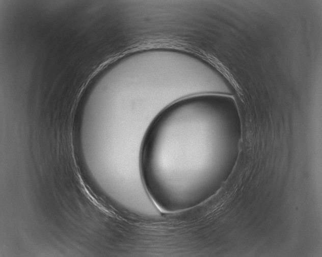 X0000084540530200702230911