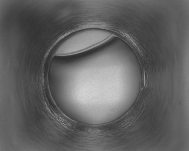 X0000084540531200702230911