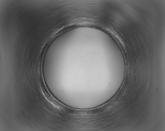 X0000084540533200702230911