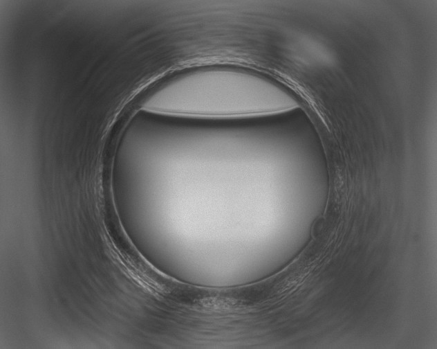 X0000084540535200702230911