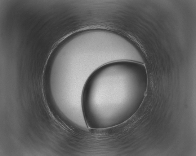 X0000084540536200702230911