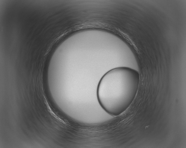 X0000084540538200702230911