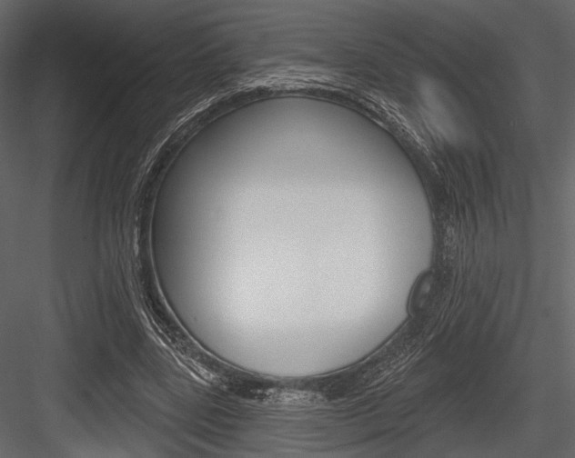X0000084540539200702230911
