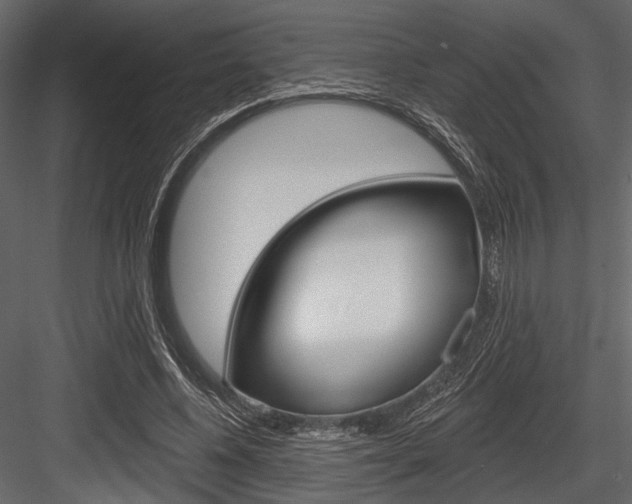 X0000084540540200702230911